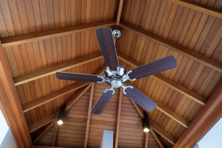 New haven ceiling fan options